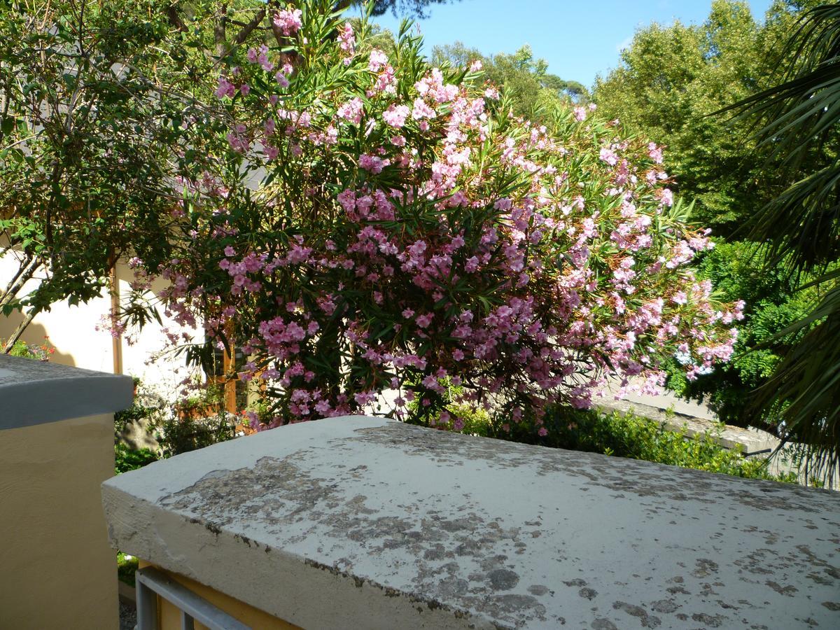 Villa Santa Margherita - B&B Кортона Екстер'єр фото